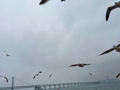 -星海广场