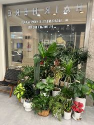 -HAIR HERE造型