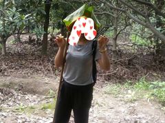 -塘栖枇杷特色园区