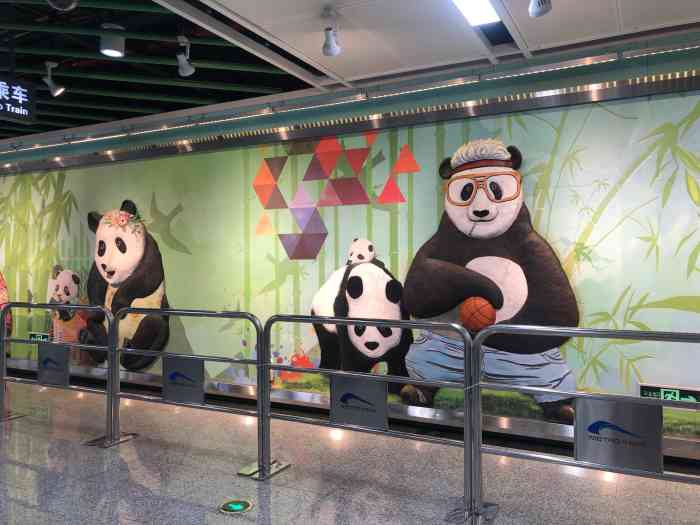 熊猫大道(地铁站)-"因为要经过大熊猫繁育基地所以这条地铁线.