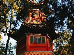 -香山公园