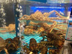 -望海臻鲜·海鲜餐厅
