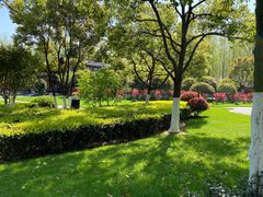 -合肥滨湖国家森林公园