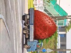 -白石龙音乐公园