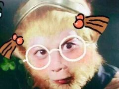 -海底捞火锅(亲子主题北金鹰店)