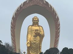 -庐山风景名胜区-东林大佛