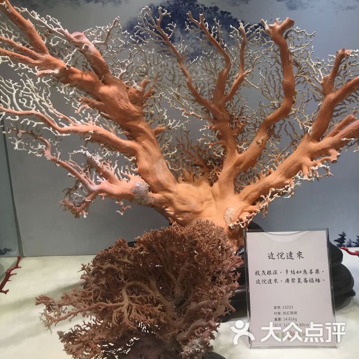 绮丽珊瑚博物馆
