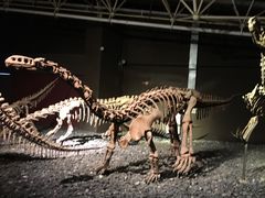 -世界恐龙谷景区