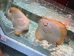 -荣小馆(杭州大厦店)