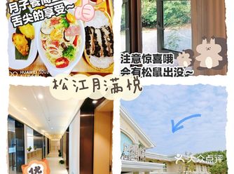听说这家月子会所有松鼠出没