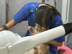 -宠福鑫康馨动物医院·骨科·眼科