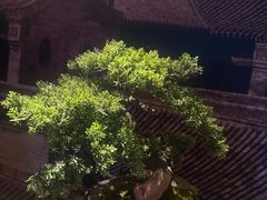 -杏花堂晋商私房菜(华熙五棵松店)