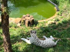 -云南野生动物园