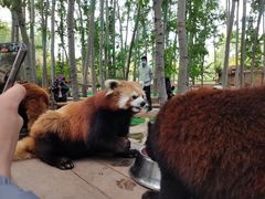 -北京野生动物园