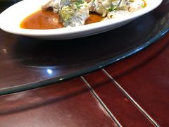 清蒸石鲫鱼-船老大饭店(太滆街店)