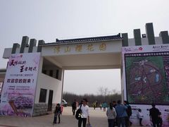 -天王浮山樱花园