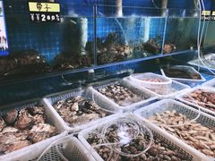 水产区-鲜小岛·铜锅涮肉