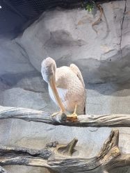 -Zoolung Zoolung动物主题公园(海信广场店)