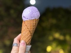 -成裕雪糕店(士多店)