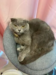 -KIMI HAIR SALON·烫染设计店