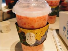 -野萃山·潮汕厚果汁(十亩地店)