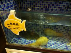 -富瑶大酒店(强工二街店)