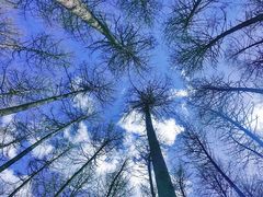 -硗碛藏寨·神木垒景区