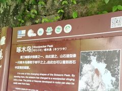 -雁荡山风景名胜区
