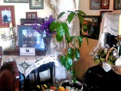 -露西亚咖啡西餐厅(哈尔滨俄侨纪念馆店)