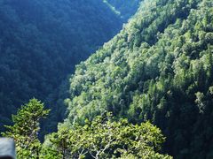 -凤凰山国家森林公园