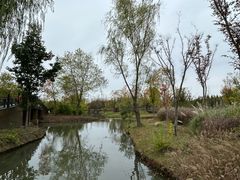 -溱湖国家湿地公园