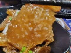 -無牌小范·香港明星美食
