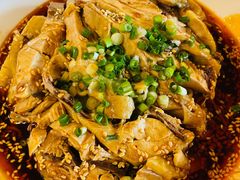 口水鸡-代木儿回锅肉