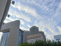 -青岛市图书馆