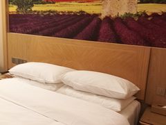 -维也纳酒店(重庆西站巴国城店)