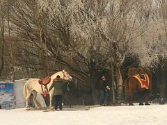 -北京亚布洛尼朝阳公园滑雪场