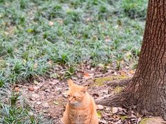 -伟记奥面馆(养育巷店)