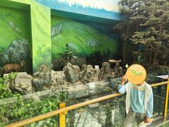-吉林省自然博物馆