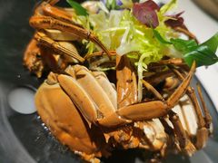 鸡油太雕蟹-荟廷·晶萃(陆家嘴尚悦湾店)