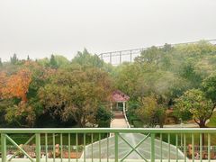 -香江小厨 The Kitchen(香江俱乐部店)