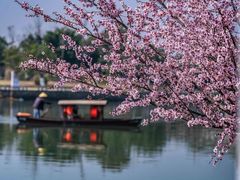 -三垟湿地