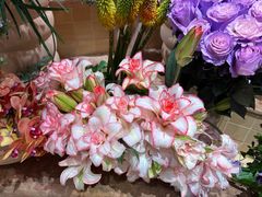 -BEAST野兽派(上海浦东嘉里城店)