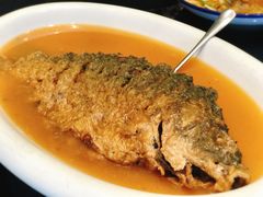 红烧黄河大鲤鱼-阿庄新豫菜(通泰路店)