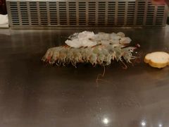 -大渔之观(安贞店)