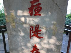 -苏堤停车场