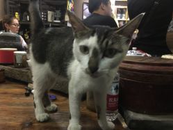 -汉刺青TATTOO STUDIO