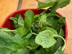 薄荷-攀枝花·任德琼·盐边羊肉米线