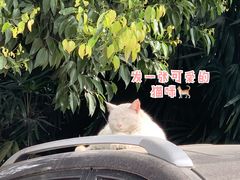 -良木缘咖啡西餐(蜀汉路店)