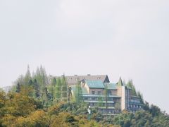 -莫干山风景区