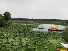 -上海海湾国家森林公园